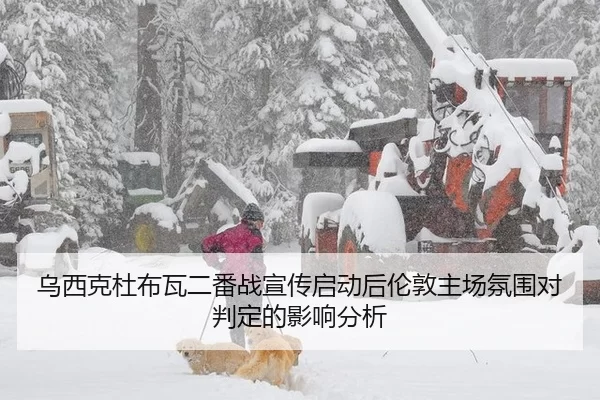 乌西克杜布瓦二番战宣传启动后伦敦主场氛围对判定的影响分析